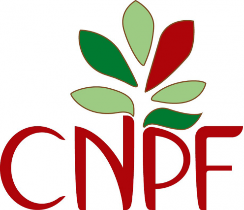 Logo CRPF