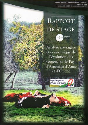 Rapport benj005